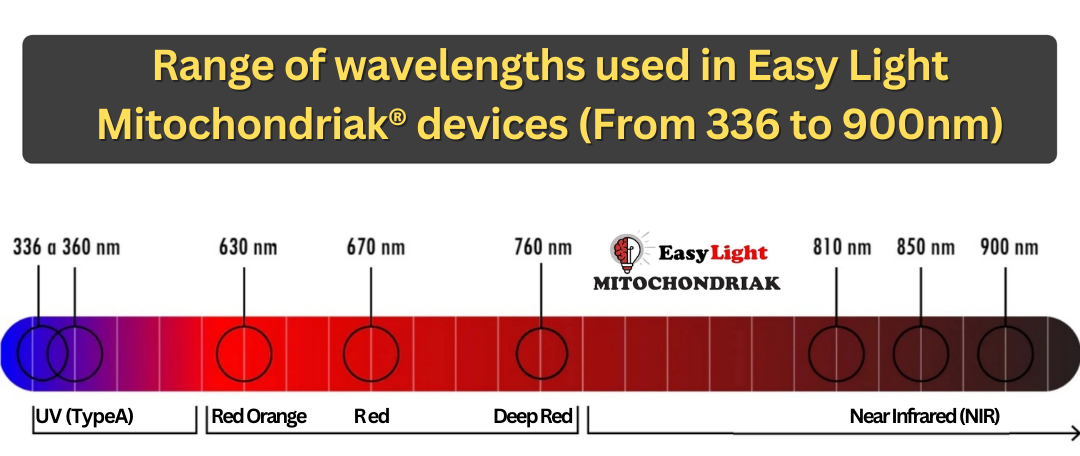 Vlnové dĺžky v zariadeniach EasyLight Mitochondriak